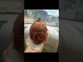 Coconut flower viral youtube shorts pooja coconut positive vibes
