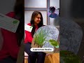 Ratta Band, Samajhna Shuru! 🧠⚡ | 3D Learning Ka Future Aa Gaya 🚀