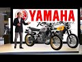 2025 NEW YAMAHA XT 500 UNVEILED!!