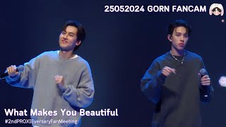 250524 - What Makes You Beautiful - PROXIE [GORN Fancam] #2ndPROXIEversaryFanMeeting