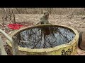 Monkey drinking water at an artificial pond