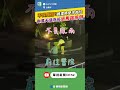 官民應對颱風