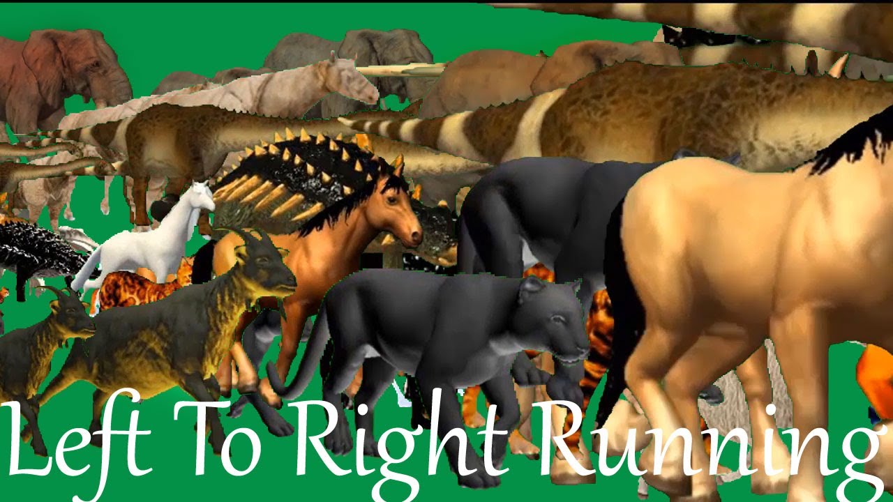 Left To Right # Animals Running and Walking# Green Screen Blue Screen 