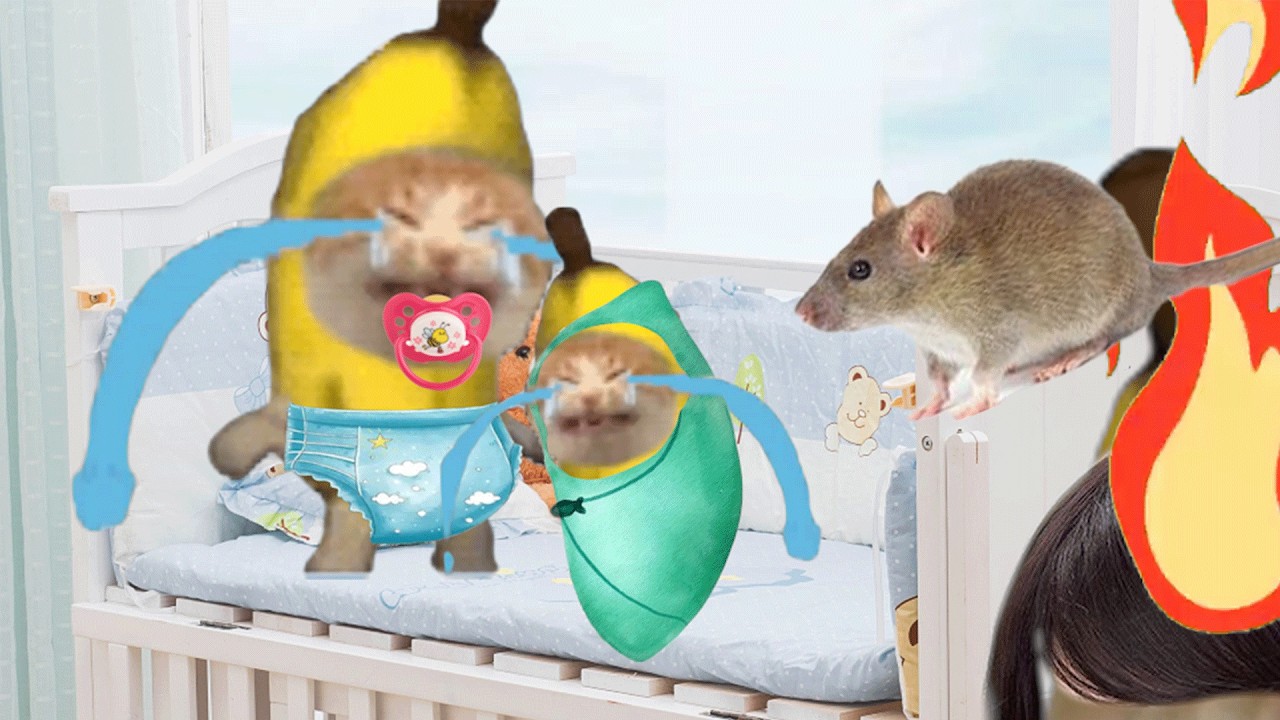 BABY BANANA CAT 🍌😿 ALWAYS CRYING HIGHLIGHTS VIDEOS ( 24 MINUTES ) #cutecat #cat #catvideos #catlover