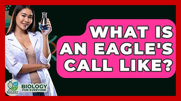 What Is An Eagle