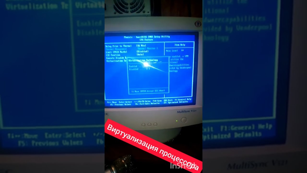 что такое виртуализация на процессоре