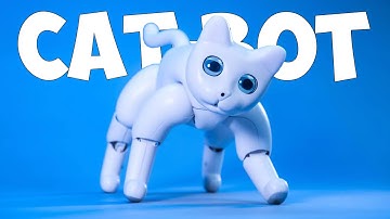 TF2 but if i play against a bot the video ends