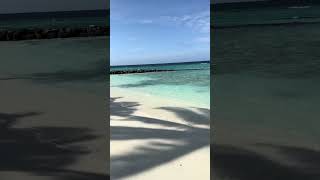 Пляж готелю Saii Maldives 5