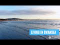 Living in swansea bay  lifestyle schools buying a property