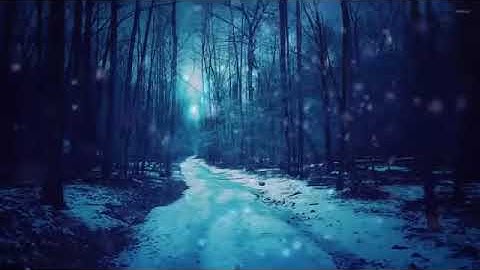 فنادى في الظلمات ان لا اله الا انت سبحانك اني كنت من الظالمين 🐳 القارئ اسلام صبحي