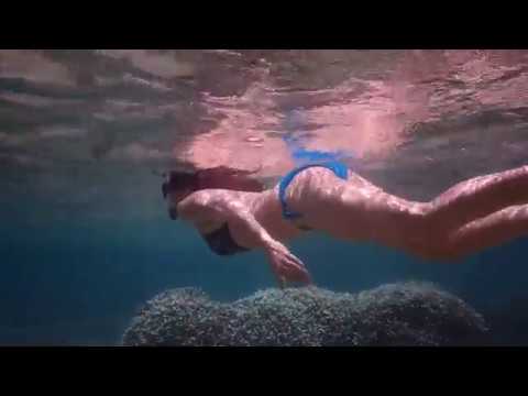 Snorkeling off the beach in Mauritius Pointe Aux Piments