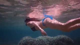 Snorkeling Off The Beach In Mauritius Pointe Aux Piments