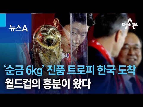 순금 6kg 진품 트로피 한국 도착 월드컵의 흥분이 왔다 뉴스A 