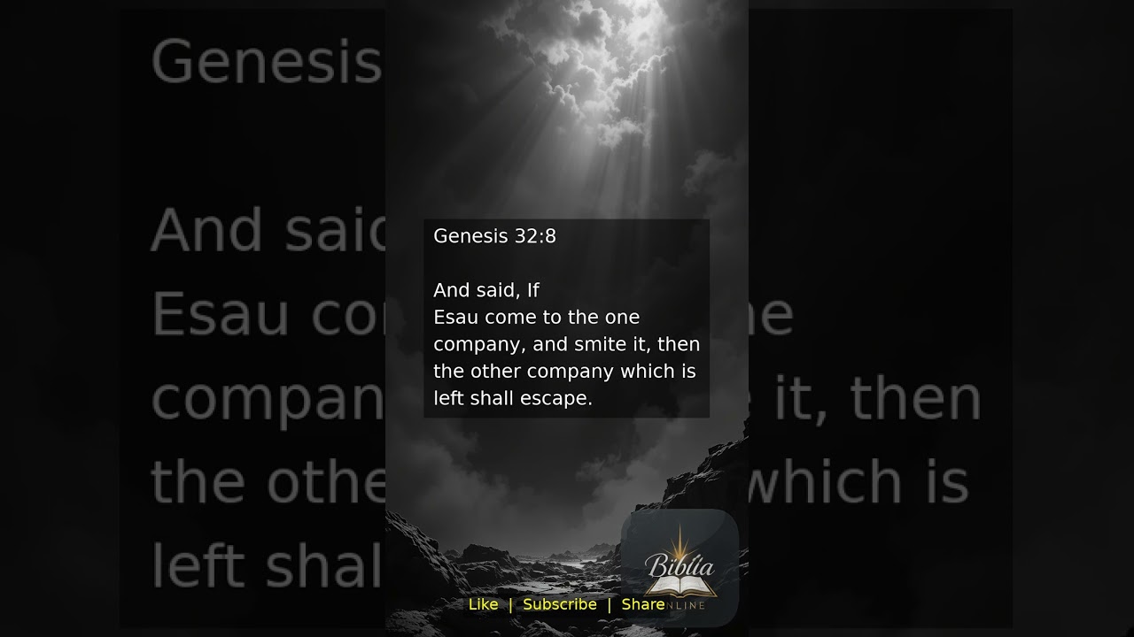 Genesis 32:8 | Daily Bible Verse 🙏