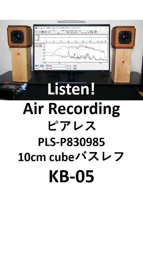 Peerless PLS P830985 KB 05 #diyspeaker - YouTube