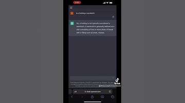 Asking chatgpt a very important question #chatgpt #askchatgpt