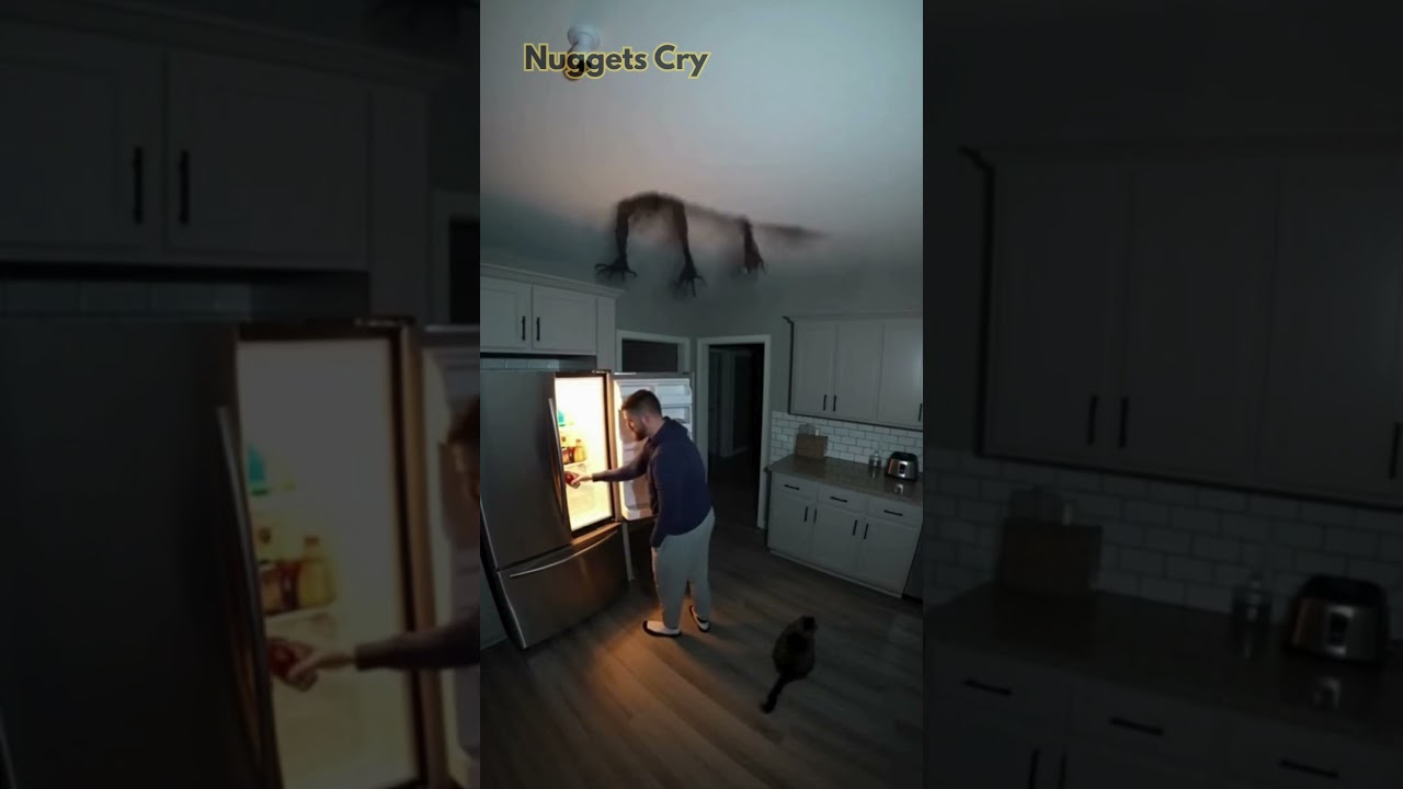 «Когда домашние животные первыми замечают присутствие» 