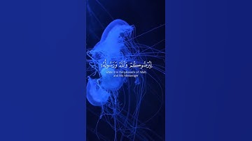 قران كريم بصوت جميل #قران_كريم #قرآن #دويتو #quran