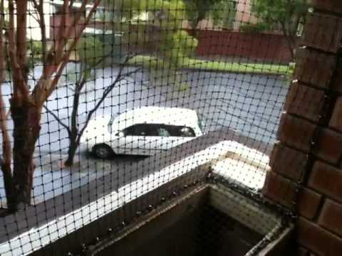 Low-vis Cat Netting Enclosed Balcony - YouTube