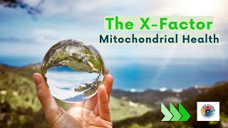 The X-Factor: Mitochondrial Health - the new frontier for the wellness + HR industry