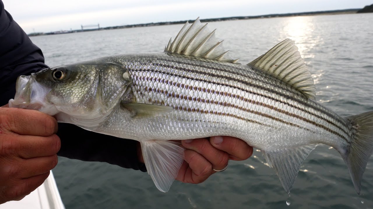 Shop Spotlight: Natick Outdoor Store, Natick, MA