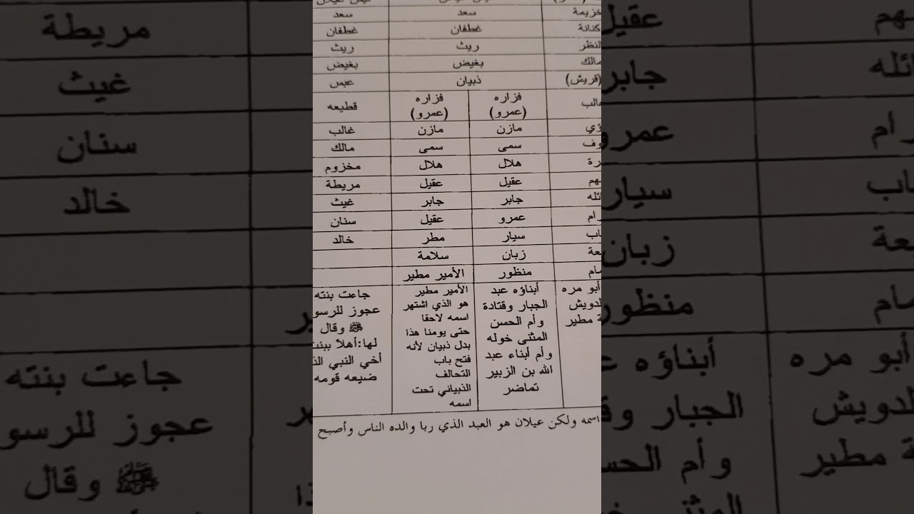 مطير الغطفانيه واحلافها