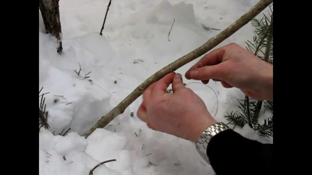 Comment Faire Un Collet Sur Clip Video Youtube Lièvre: Comment tendre et fabriquer un collet - YouTube