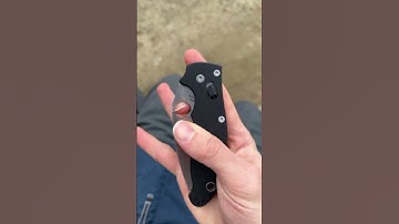 Coolest Spyderco EDC Knives in My Collection