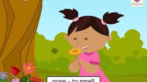 Understanding Our Amazing Body | Human Body Parts | Environmental Studies For Kids | Grade 2 |Vid #3