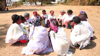 Download ደሳለኝ መርሻ / ዋይወቶ / ምርጥር የጉራጊኛ ዘፈን Desalegne Mersha / Wayiwoto / Best Guragigna S Video MP3 ደሳለኝ መርሻ / ዋይወቶ / ምርጥር የጉራጊኛ ዘፈን Desalegne Mersha / Wayiwoto / Best Guragigna S