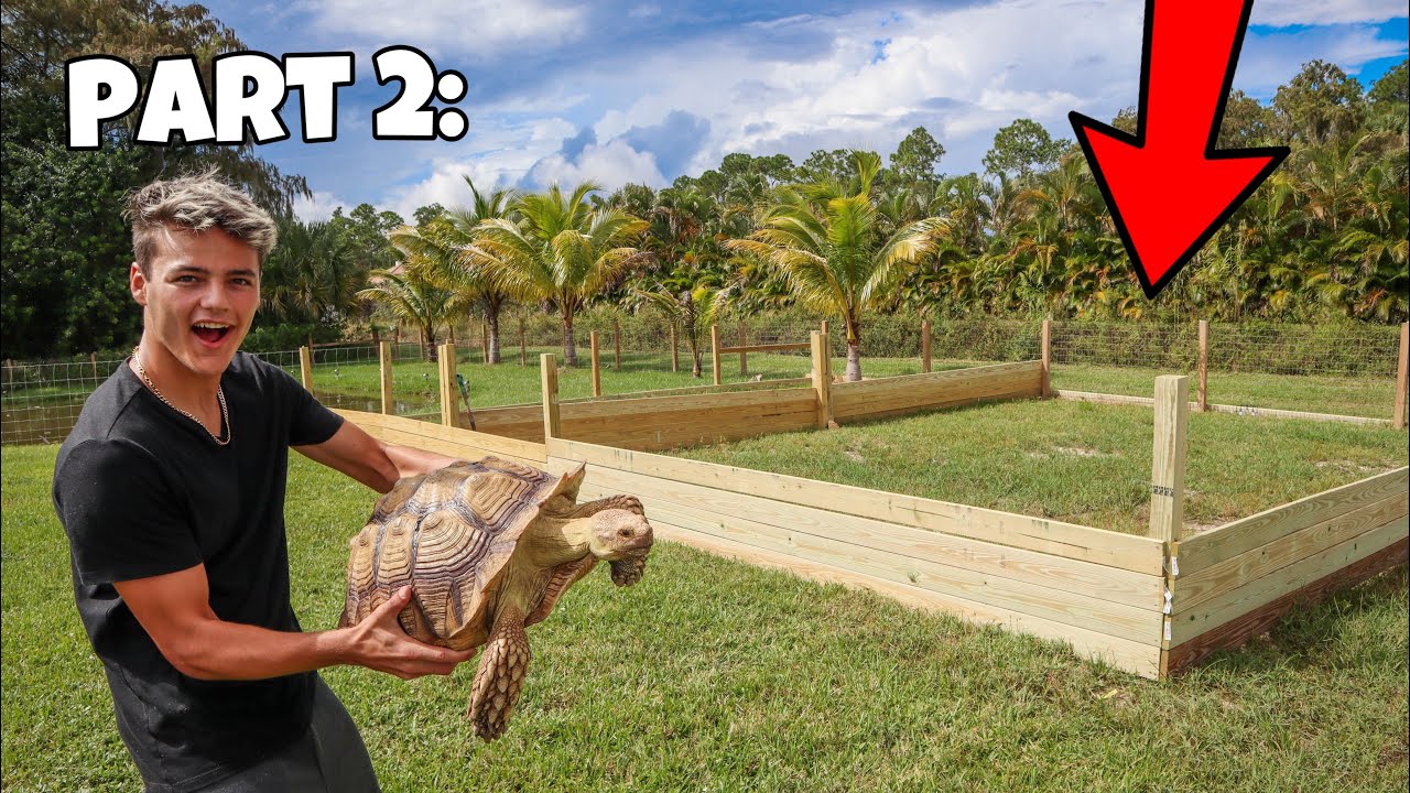 Building Backyard Tortoise Enclosure!! (Part 2) - YouTube