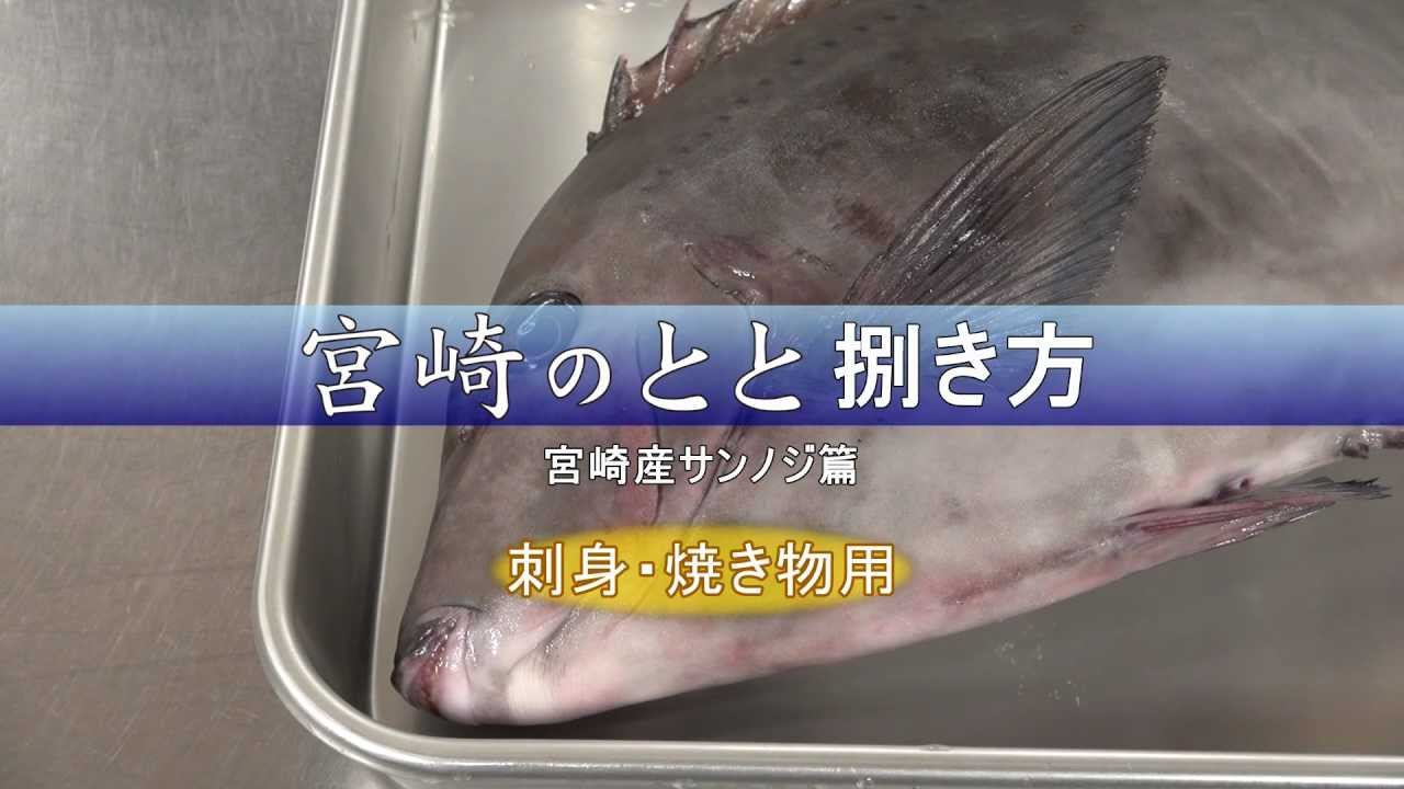 サンノジの捌き方 刺身 焼き物用 Youtube