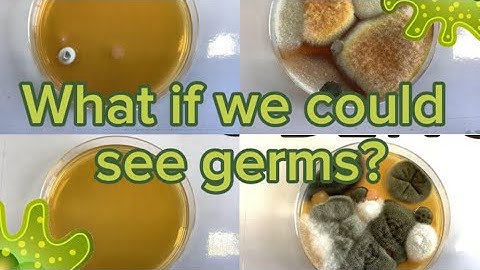 What if we could see germs? 🦠 Reellife Science 🧬