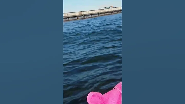 97cc makeshift mud motor