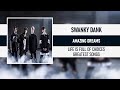 SWANKY DANK - AMAZING DREAMS [LIFE IS FULL OF CHOICES -GREATEST SONGS-] [2019]