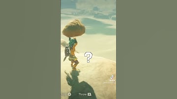 KOROK SEEDS ARE LITERALLY EVERYWHERE ON BOTW #botw #legendofzelda #shorts