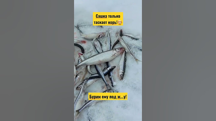 Ловим Корь! Сашка только таскает! бурим ему под ящик🙈😂 #васярыбаков #рекомендации #корюшка