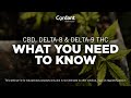Cbd delta8 and delta9 thc what you need to know