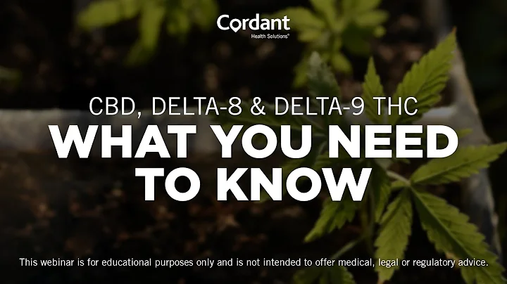 CBD, Delta-8 and Delta-9 THC: What You Need To Know