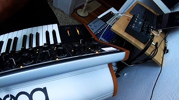 Jam Session with Moog Subsequent 37, Ableton Live, Strymon Timeline and Akai LPD 8