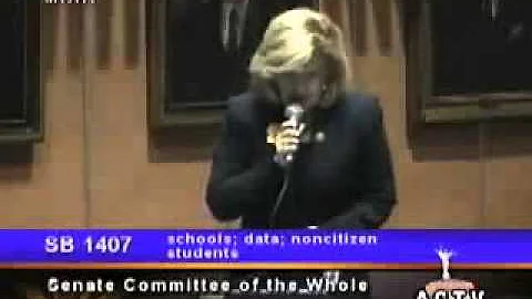 Arizona Senator Lori Klein Calls All Mexicans "Gan...