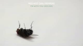 Red Hot Chili Peppers - Im With You [2024 Mix] (V2)