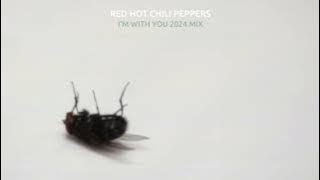 Red Hot Chili Peppers - I'm With You [2024 Mix] (V2)