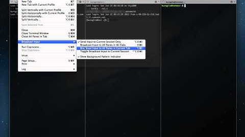 iTerm broadcast input