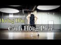 Hướng Dẫn CÁNH HỒNG PHAI / Choreo by Trang Ex (BÀI KHỚP NHẠC BẤM🔽)