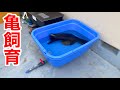 角型タライを改造して水換えが劇的に楽になる亀の飼育容器を作りました