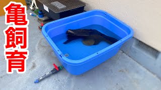 角型タライを改造して水換えが劇的に楽になる亀の飼育容器を作りました