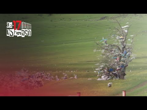 \"ჩემი ქალაქი მკლავს\"