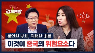 불안한 부채, 위험한 버블.. 이것이 중국의 위험요소다 (안유화) screenshot 3