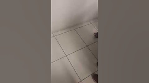 Programación de robot rogic